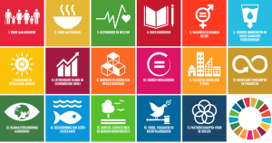 SDG's (Global Goals)